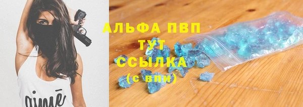 гидра Снежногорск