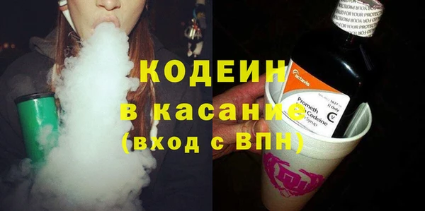 гидра Снежногорск