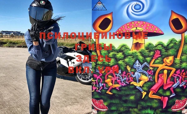 марки nbome Пересвет