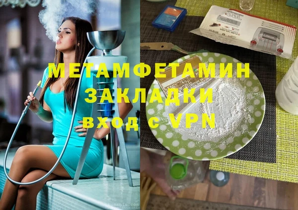 гидра Снежногорск