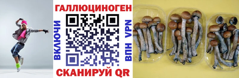 Псилоцибиновые грибы MAGIC MUSHROOMS  мега как зайти  Усть-Кут 